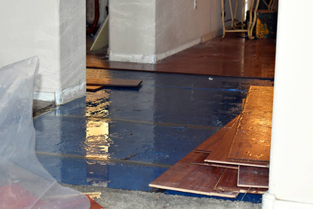 Professional Sewage Cleanup technician working in Warsaw, IL